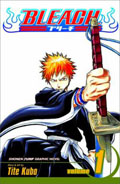bleach_1201