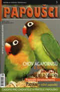 papuosci_1203