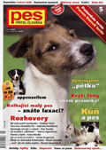 pes_pritel_cloveka_1205